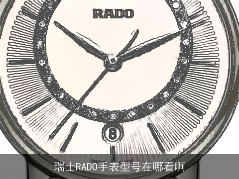 瑞士RADO手表型号在哪看啊