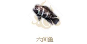 妄想山海六间鱼属性介绍