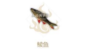 妄想山海鲮鱼属性介绍